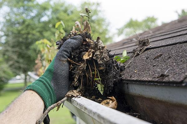 regular gutter cleaning helps prevent water damage, extends the life of your gutters, and maintains the curb appeal of your property